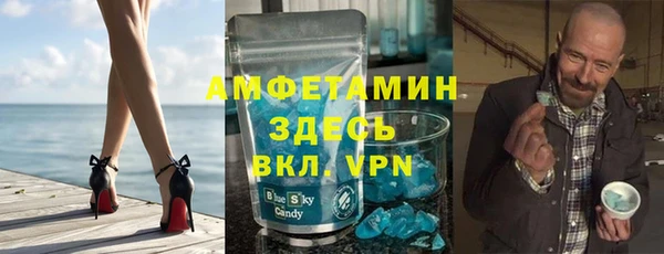 индика Алзамай