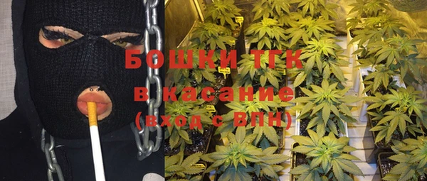 индика Алзамай