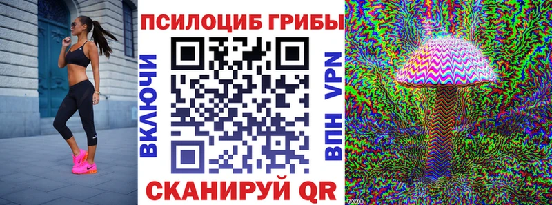 Псилоцибиновые грибы ЛСД  даркнет телеграм  Почеп 